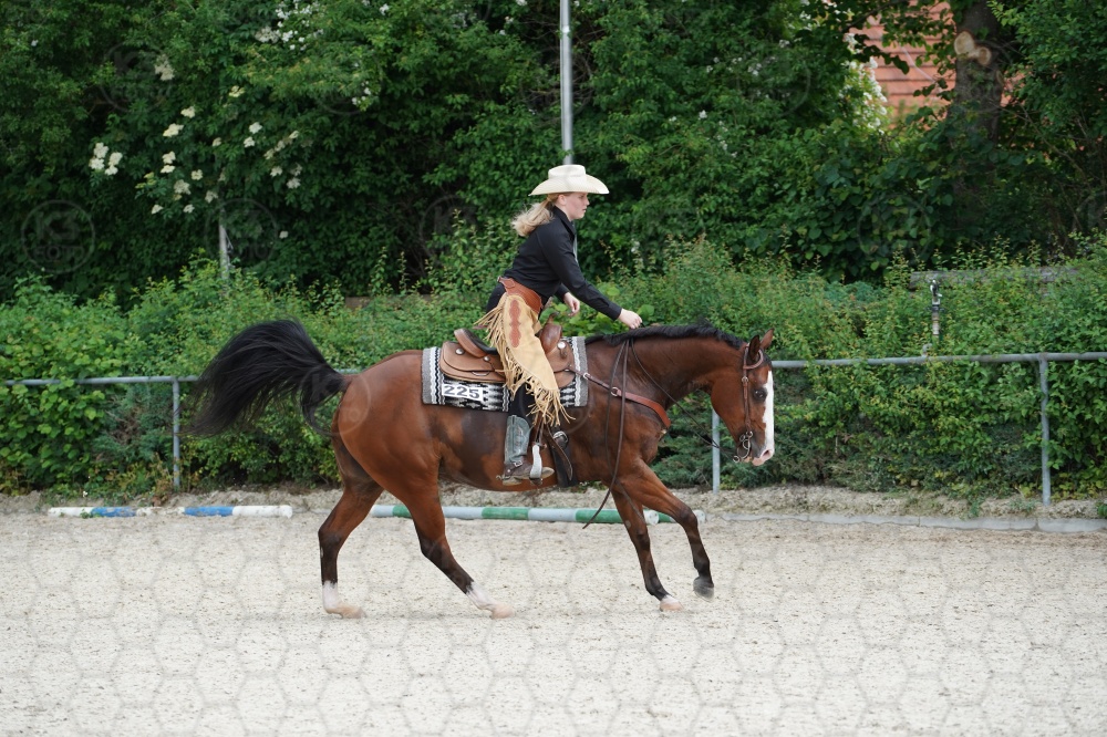 s_A9_09256.jpg